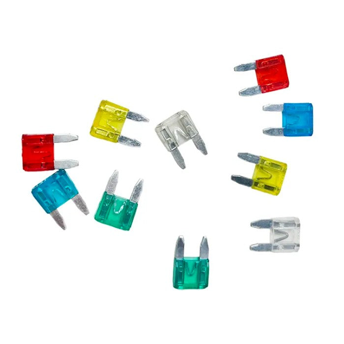 Бушон японски - 10БР/К-Т