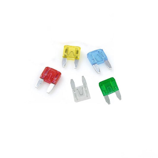 Бушон японски - 10БР/К-Т