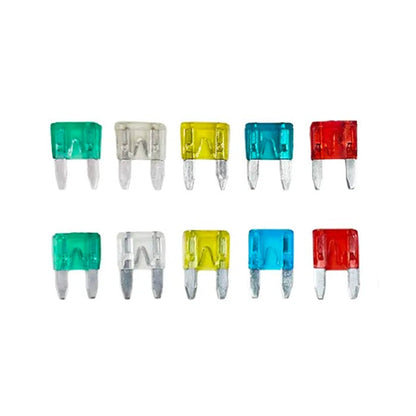 Бушон японски - 10БР/К-Т